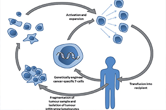 Gulf Weekly T cells cure for cancer?