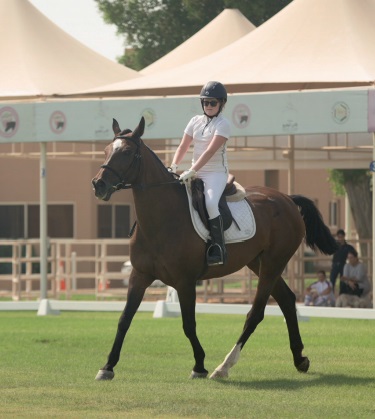 Gulf Weekly Inspiring dressage delights