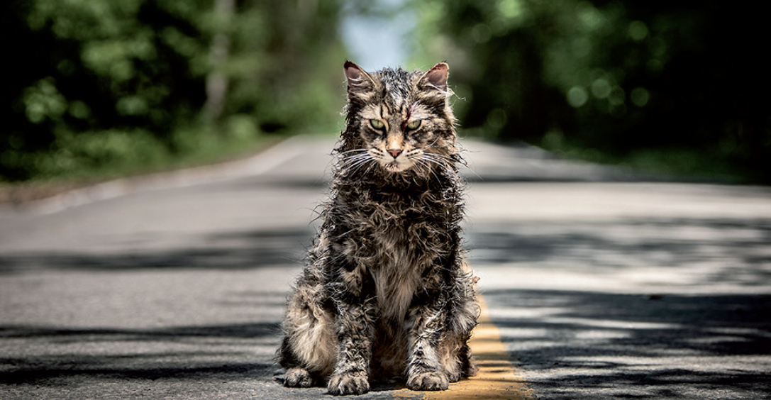 Gulf Weekly A purr-fect horror